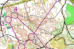 woc2015middle