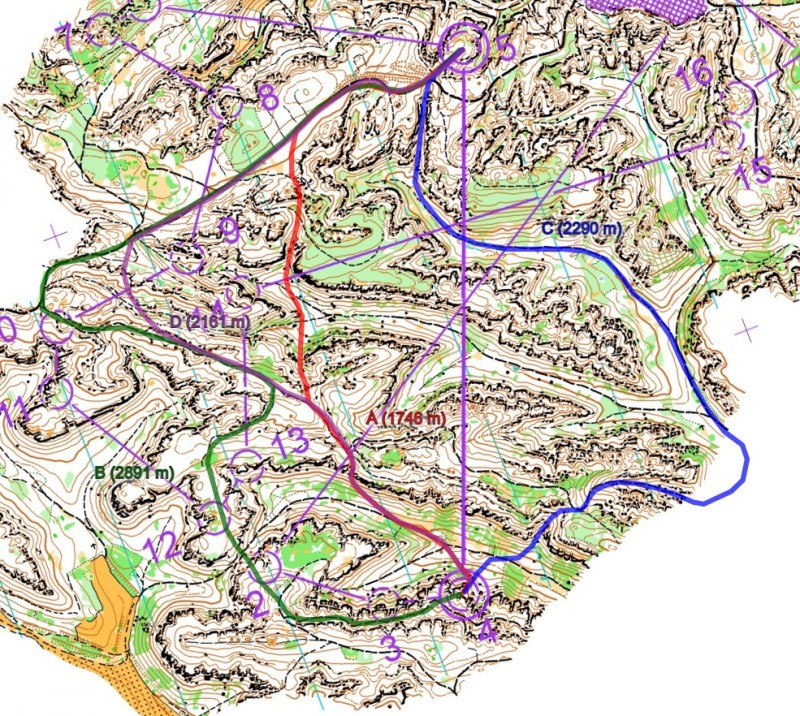 woc2021_long_men_leg_05_c