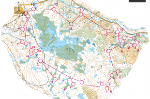 map-men-relay
