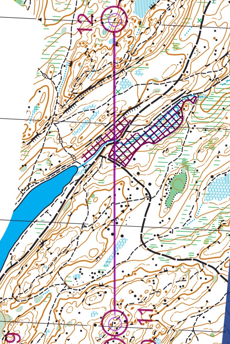 leg_12b