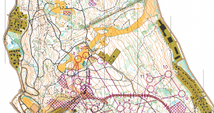 women-leg1