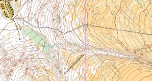 3plus32025long_x_x_blank_s