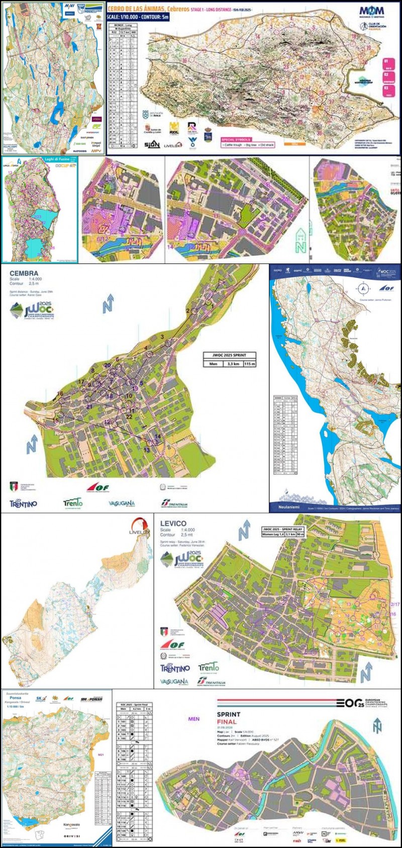 81265f57c399e579af51202f8a533c5b_l (1)_collage_1