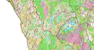 boclong2025women_x_x_blank_s