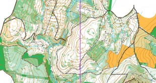 frenchchampslong2025_x_x_blank_s