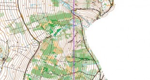 inov8cup_x_x_blank_s