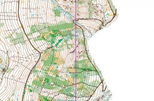 inov8cup_x_x_blank_s