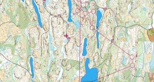 jukola2025leg3_x_x_blank_s