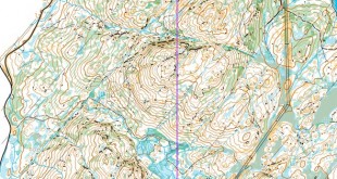 nmlang2026_x_x_blank_s