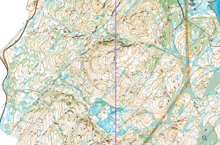 nmlang2026_x_x_blank_s