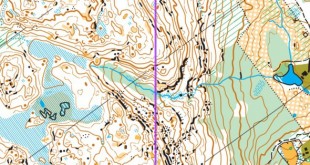 swedishleague7w_x_x_blank_s