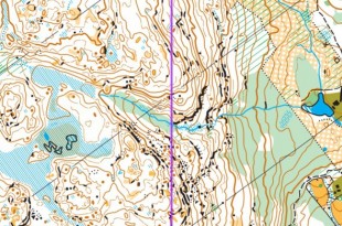 swedishleague7w_x_x_blank_s