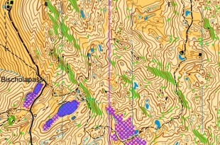 swiss7nat2025_x_x_blank_s