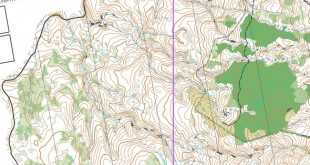 taitongalong2025_x_x_blank_s