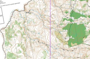 taitongalong2025_x_x_blank_s