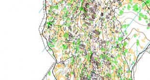 victorianlong2025_x_x_blank_s