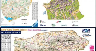 1bb99a4de7a9684689f77009a470da23_l (1)_collage_1