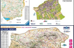 1bb99a4de7a9684689f77009a470da23_l (1)_collage_1