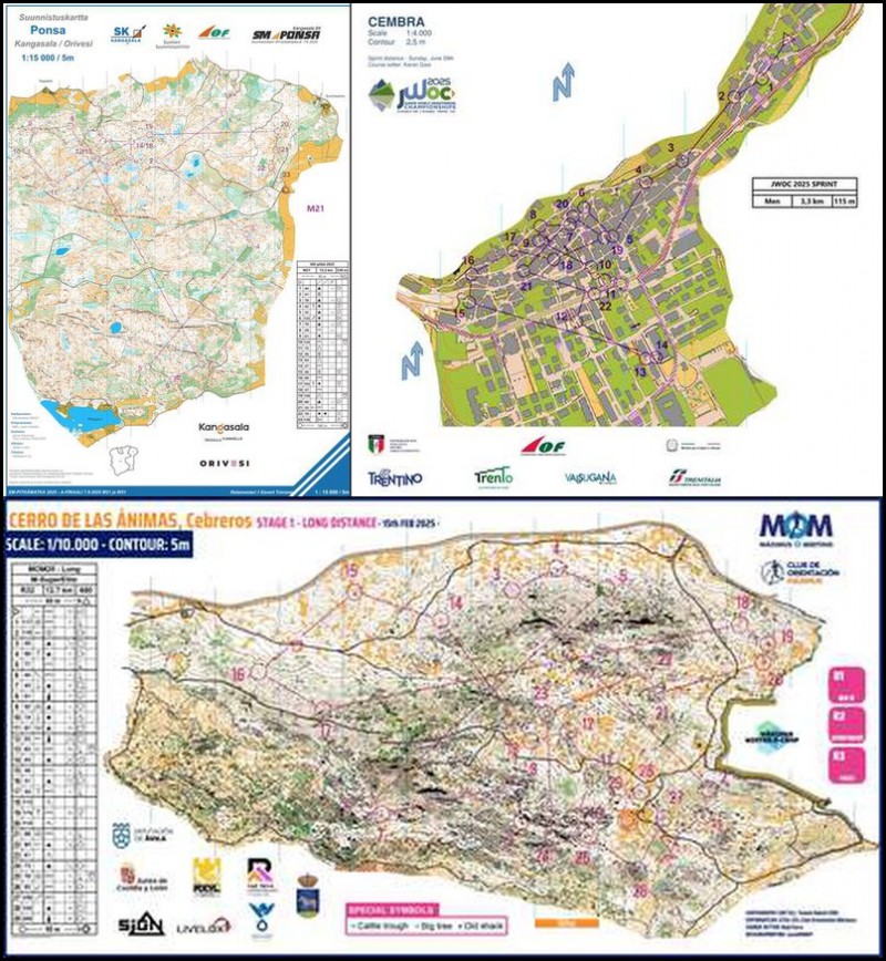 1bb99a4de7a9684689f77009a470da23_l (1)_collage_1