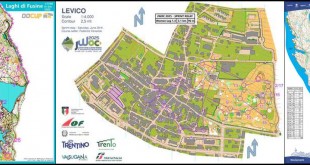 467c155ed90232bd77b7a0ae5577d74d_l_collage_1