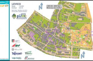 467c155ed90232bd77b7a0ae5577d74d_l_collage_1