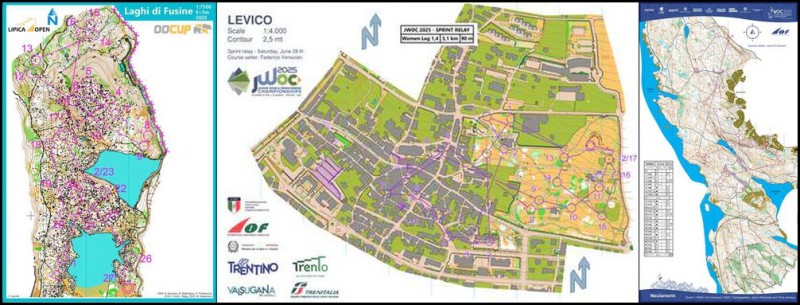 467c155ed90232bd77b7a0ae5577d74d_l_collage_1