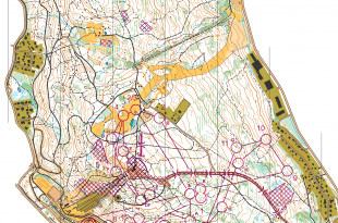 women-leg1