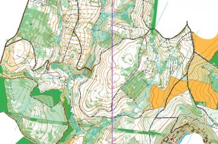 frenchchampslong2025_x_x_blank_s