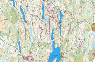 jukola2025leg3_x_x_blank_s