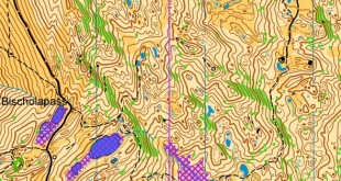 swiss7nat2025_x_x_blank_s